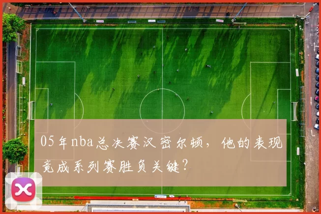 05年nba总决赛汉密尔顿，他的表现竟成系列赛胜负关键？